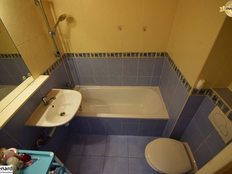 1,5 IZBOVÝ TEHLOVÝ BYT S GARÁŽOU, 50m2, VEĽKÝ LIPNÍK;