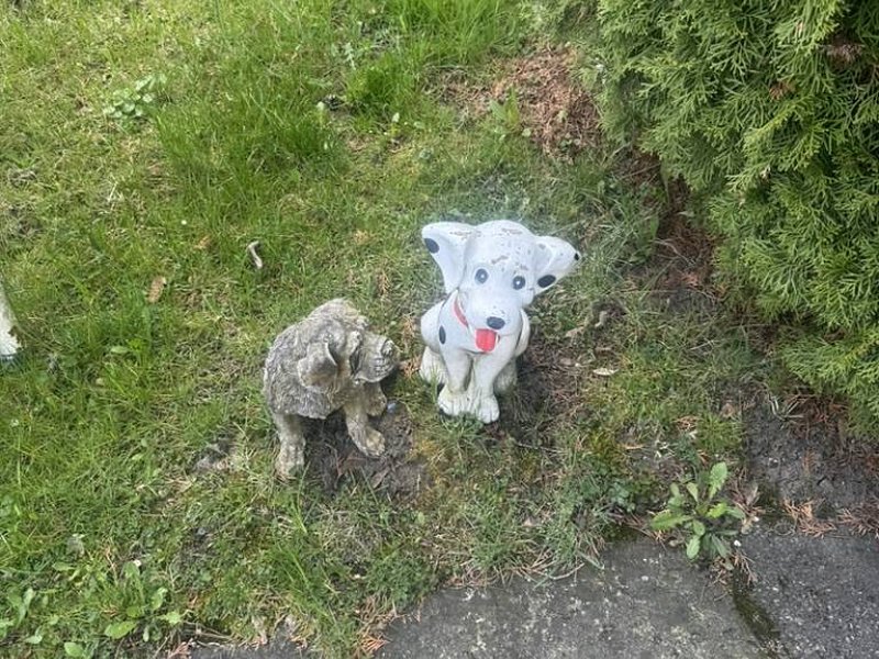 Rodinný dom v obci Plavnica 