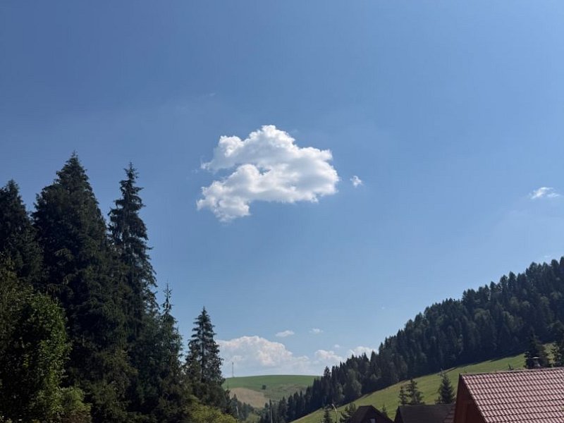 Stavebný pozemok na chatu v Litmanovej – krásne prostredie, ideálny na